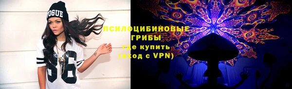 ешки Медвежьегорск