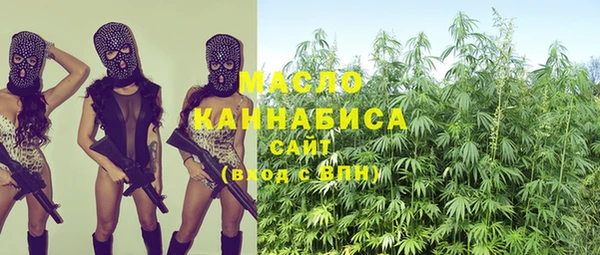 гидра Медногорск