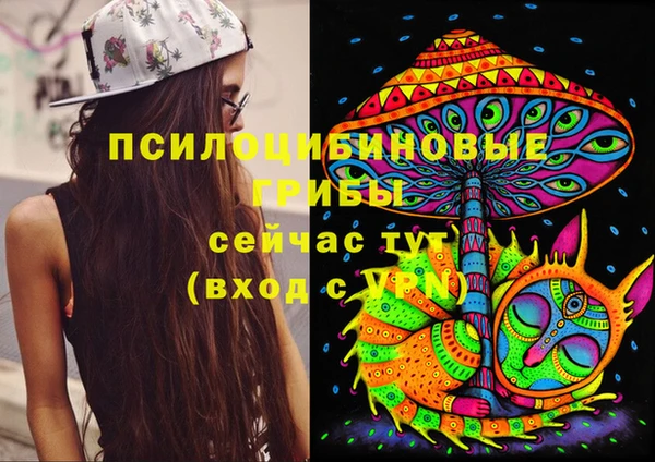 гидра Медногорск