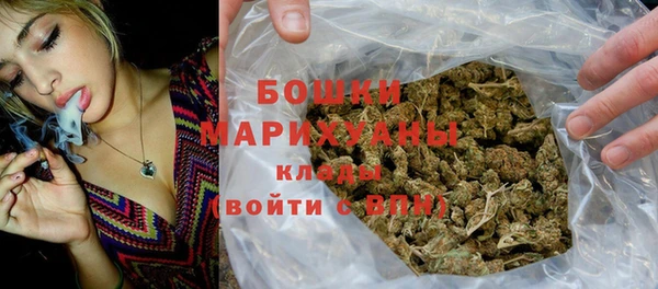 гидра Медногорск