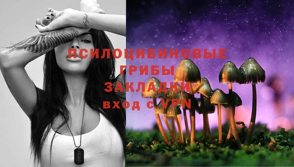 ешки Медвежьегорск