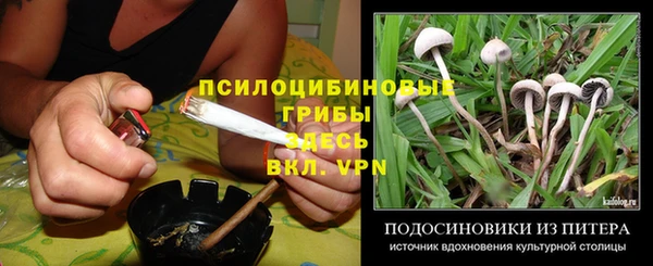 ешки Медвежьегорск