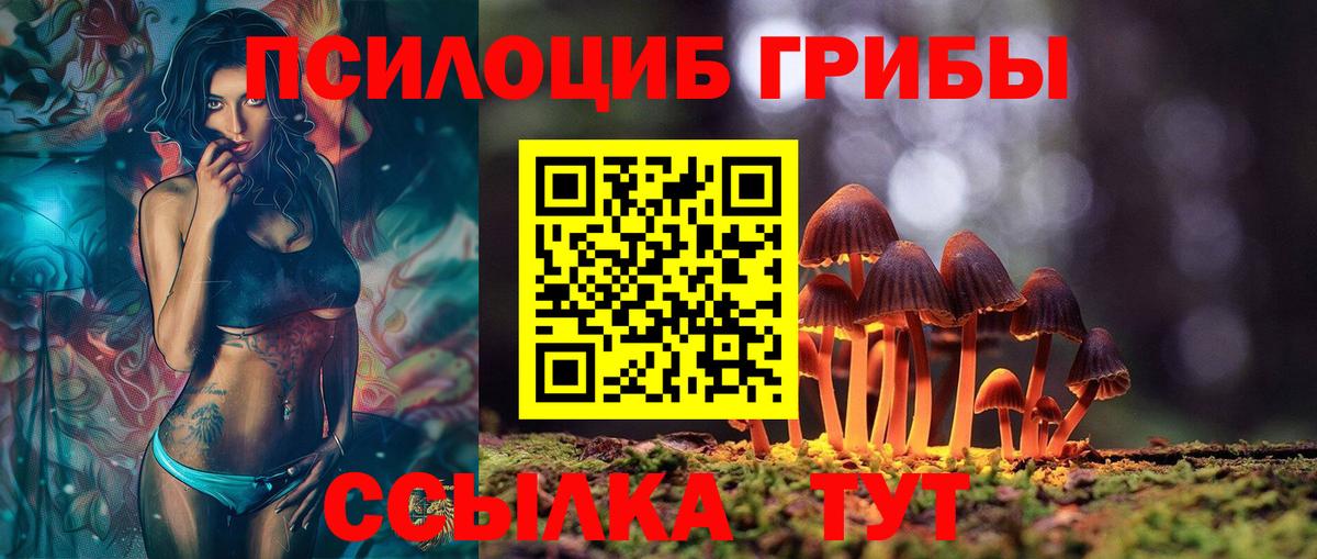 Магнитогорск  Галлюциногенные грибы GOLDEN TEACHER  Вход с VPN 